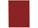 Seitenzugrollo SUNLINES "Young Style Blackout", rot (rot, weiß), B:102cm H:180cm, Aluminium, Kunststoff, Polyester, Rollos, Seitenzugrollo