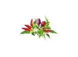 Click & Grow Click and Grow - Smart Garden Refill 9-pack Chili Pepper Mix