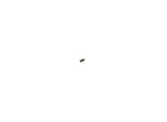 KINGSTON Arbeitsspeicher "ValueRAM", grün (ohne farbbezeichnung), B:4,5cm H:9,7cm T:0,7cm, Arbeitsspeicher