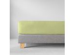 Bettlaken ESTELLA "Feinjersey", grün (maigrün), L:200cm, Jersey, Obermaterial: 100% Baumwolle, Bettlaken, Bettlaken, Rundumgummi