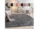 Hochflor-Teppich PACO HOME "Silky 591", grau, B:160cm H:37mm L:220cm, Polyester, Teppiche, Uni-Farben, besonders weich und kuschelig