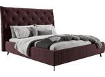 Polsterbett HOME AFFAIRE "Maxime, in 4 Breiten bis 200cm, auch in Leder", rot (bordeaux), B:236cm H:143cm L:234cm, 100% Polyester, Betten, Polsterbett, Kopfteilhöhe 143 cm, belastbar bis 280 kg, auch in Überlänge 220cm