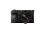 Sony a6700 + E 18-135mm F3.5-5.6 OSS