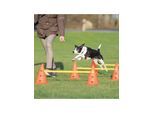 Trixie Hundetraining Pylon-Hindernisset (6 Pylonen - 3 Stangen)