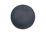Leitz Ergo Cosy Active Sitzball für aktives Sitzen Samtgrau