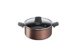 Tefal Resource Stewpot 24 cm/5.2 l. w. lid