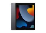 Apple iPad (10,2") Wi-Fi 256GB space grau