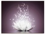 Wandbild ARTLAND "Magie der Lotus-Blume", lila (farbe bild(er): lila), B:40cm H:30cm, Bilder, Wandbild, als Leinwandbild, Poster in verschied. Grössen