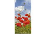 Alu-Dibond-Druck ARTLAND "Mohnblumen im Panorama", rot (farbe bild(er): rot), B:30cm H:60cm, Bilder, Alu-Dibond-Druck, für Innen- und Aussenbereich geeignet, Outdoorbild