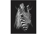 Wandbild ARTLAND "Zebra", schwarz (farbe bild(er): schwarz), B:45cm H:60cm, Bilder, Wandbild, als Alubild, Leinwandbild in verschied. Grössen