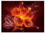 Wandbild ARTLAND "Feuerblume", rot (farbe bild(er): rot), B:60cm H:45cm, Bilder, Wandbild, als Leinwandbild, Poster in verschied. Grössen