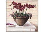 Leinwandbild ARTLAND "Orchideen in Bordeaux", beige (farbe bild(er): naturfarben), B:40cm H:40cm, Bilder, Leinwandbild, auf Holzrahmen gespannt