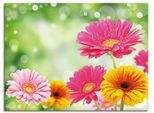 Leinwandbild ARTLAND "Natürliche Romantik - Gerberas", bunt (farbe bild(er): bunt), B:60cm H:45cm T:1,8cm, Bilder, Leinwandbild, auf Holzrahmen gespannt