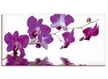 Leinwandbild ARTLAND "Violette Orchideen", lila (farbe bild(er): lila), B:40cm H:20cm T:1,8cm, Bilder, Leinwandbild, auf Holzrahmen gespannt