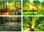 Poster ARTLAND "Wald Bach Frühling Windrosen Sonne Baum", grün (farbe bild(er): grün), B:42cm H:29,7cm, Bilder, Poster, Bilder Set, 4tlg., ohne Rahmen