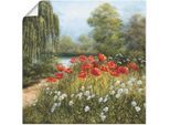 Wandbild ARTLAND "Mohnwiese am See", grün (farbe bild(er): grün), B:50cm H:50cm, Bilder, als Alubild, Leinwandbild, Poster in verschied. Größen