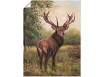Wandbild ARTLAND "Hirsch", grün (farbe bild(er): grün), B:30cm H:40cm, Bilder, als Leinwandbild, Poster in verschied. Größen