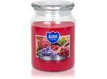 BISPOL Premium Line White Lavender geurkaars 500 g