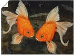 Poster ARTLAND "Turtelfische", orange (farbe bild(er): orange), B:60cm H:45cm T:0,1cm, Papier, Bilder, Poster, ohne Rahmen