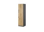 Aktenschrank mit Massivholzfront SOLIDLine ¦ grau ¦ Maße (cm): B: 40 H: 159,8 T: 40.0