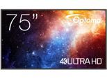 Optoma N3751K Digital Signage Display 190,5 cm 75 Zoll