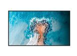 Hisense 43DM66D Signage Display 43 Zoll (109,22 cm)