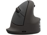 Fellowes Vertikalmaus Bretyta Plus+, Größe L, für Rechtshänder, ergonomisch, 3-fache Konnektivität, 400-2400 dpi, mit Microban®-Schutz, schwarz