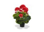 Kunstblume BOTANIC-HAUS "Geranien in Topf 40 cm", rot, B:25cm H:40cm, Kunststoff, Kunstpflanzen, Kunstblume