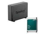 Synology DiskStation DS124 1 Einschub NAS-Server Leergehäuse + 1x Synology Plus 3.5" SATA 6Gb/s Festplatte 8 TB