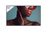 Sony Bravia FW-65BZ40L Professional Display 165cm (65")
