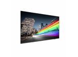 Philips 75BFL2214 Professional Signage Smart TV 189 cm 75 Zoll