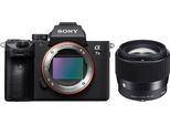 Sony Alpha ILCE-7 III + Sigma 56mm 1,4 DC DN