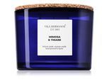 Vila Hermanos Apothecary Cobalt Blue Mimosa & Thiare geurkaars 350 g