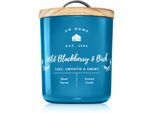 DW Home Farmhouse Wild Blackberry & Birch geurkaars 255 g