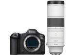 Canon EOS R5 II + RF 200-800mm f6,3-9 IS USM