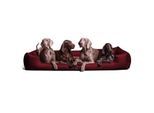 Tierlando GOOFY - Orthopädisches Hundebett aus Polyester inkl. Matratzenschoner dunkelrot 1,6 m, 25 cm, 1,1 m