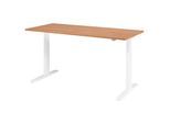 HAMMERBACHER VXMKA19/N/W elektrisch höhenverstellbarer Schreibtisch 70,0 - 120,0 cm - elektrisch nussbaum / weiß