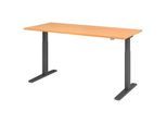 HAMMERBACHER VXMKA19/6/G elektrisch höhenverstellbarer Schreibtisch 70,0 - 120,0 cm - elektrisch Buche / grafit