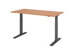 HAMMERBACHER VXMKA16/N/G elektrisch höhenverstellbarer Schreibtisch 70,0 - 120,0 cm - elektrisch nussbaum / grafit