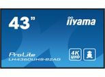 iiyama Digital Signage Display LH4360UHS-B2AG 108 cm (42,5 Zoll)