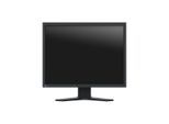 EIZO FlexScan S2134-BK LCD-Monitor 54 cm 21,3 Zoll