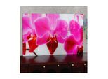 Glasbild T117, Wandbild Poster Motiv, 40x60cm ~ Orchidee