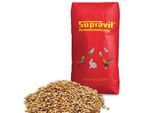 Supravit Wellensittichfutter Zuchtmischung 25 kg