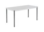 eurokraft basic Mehrzwecktisch, rechteckig, HxBxT 740 x 1600 x 800 mm, Platte lichtgrau, Gestell basaltgrau