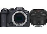 Canon EOS R7 + RF 35mm f1,8 IS STM Macro
