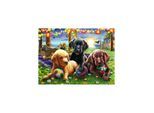 Ravensburger XXL - Puppy Picnic Boden