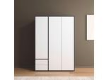Drehtürenschrank RAUCH "Kleiderschrank Schrank Garderobe Wäscheschrank NABILA viel Stauraum", grau (graumetallic, alpinweiß), B:140cm H:194cm T:53cm, Holzwerkstoff, Schränke, Drehtürenschrank, mit 2 Schubladen und Push-to-Open Funktion TOPSELLER MADE IN GERMANY
