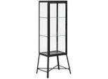 Livetastic Vitrine, Klar, Schwarz, Metall, Glas, 2 Fächer, 55x42x151 cm, Wohnzimmer, Wohnwände, Vitrinenschränke