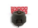 FEBI BILSTEIN Lagerung, Motor 36689 vorne rechts für Audi SEAT
