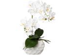 Kunstorchidee CREATIV GREEN "Deko-Orchidee Phalaenopsis im Keramiktopf", weiß, B:17cm H:33cm T:13cm, Obermaterial: 95% Polyethylen, 5% Polyester, Kunstpflanzen